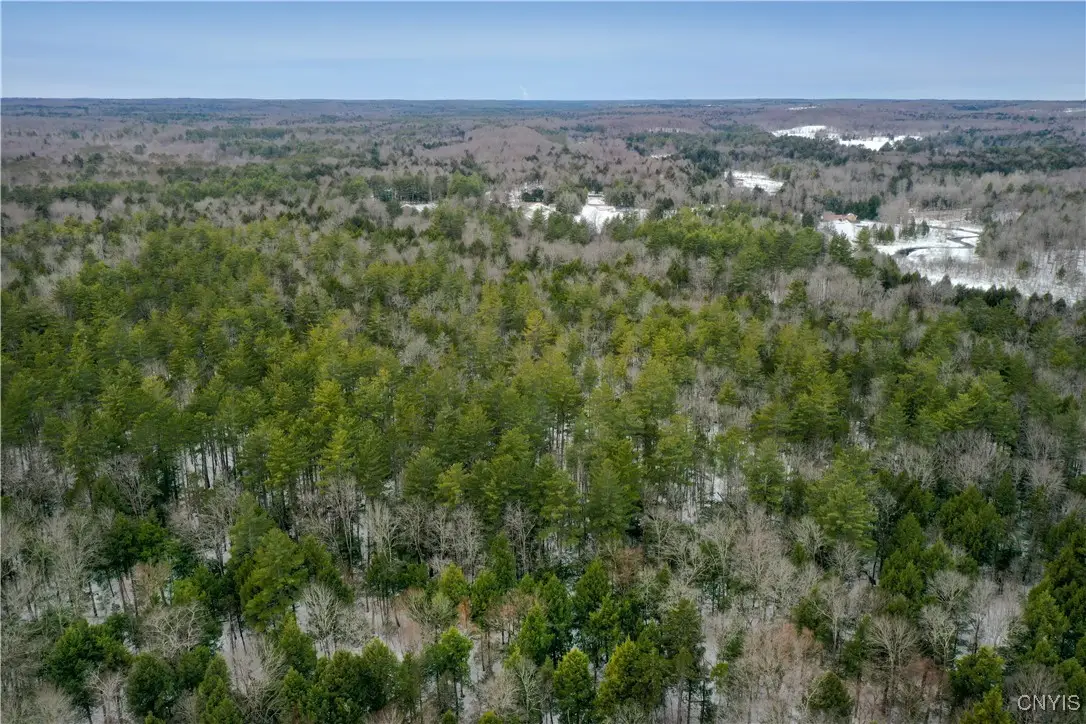 Elpis Road, Vienna, NY 13316 - Image #1