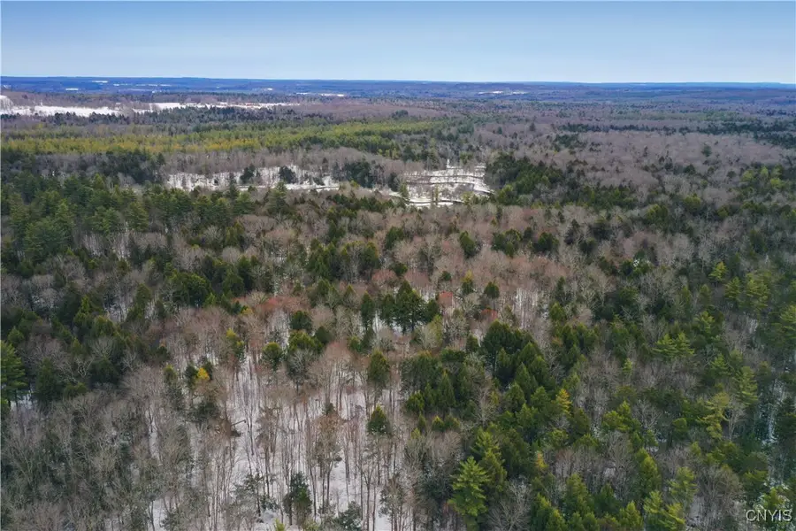 Elpis Road, Vienna, NY 13316 - Image #2