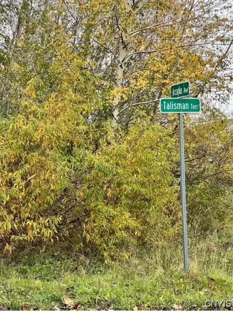 125 Arcadia Avenue, Oswego, NY 13126 - Image #1