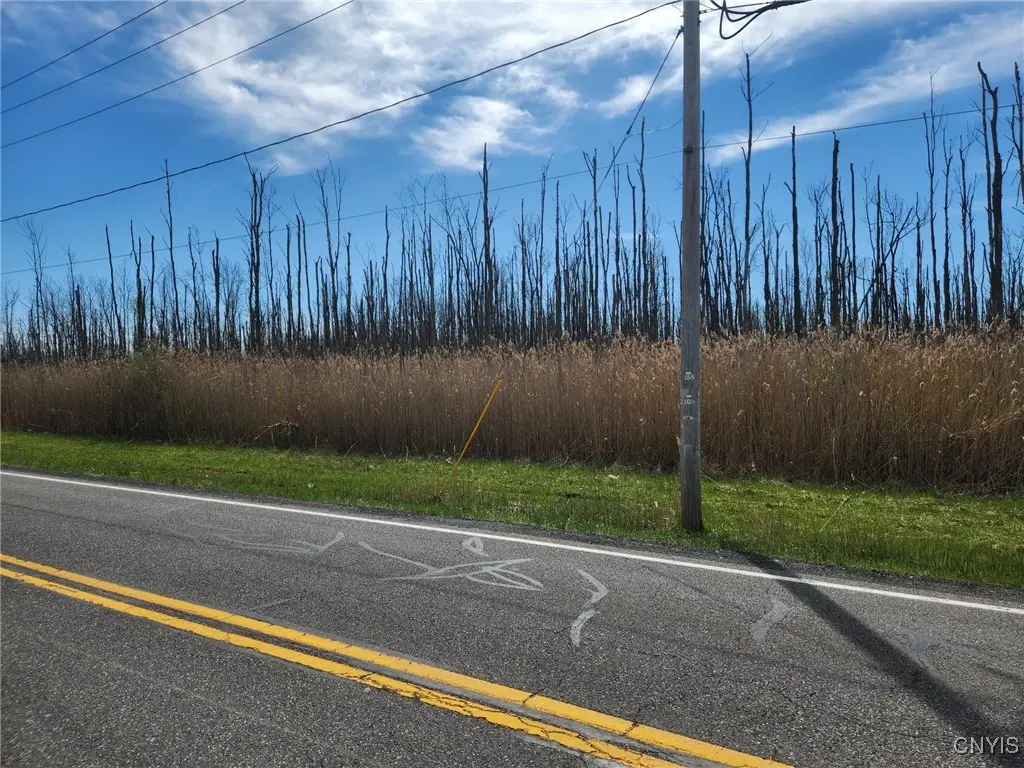 04.1 Bowman Road, Manlius, NY 13104 - Image #1