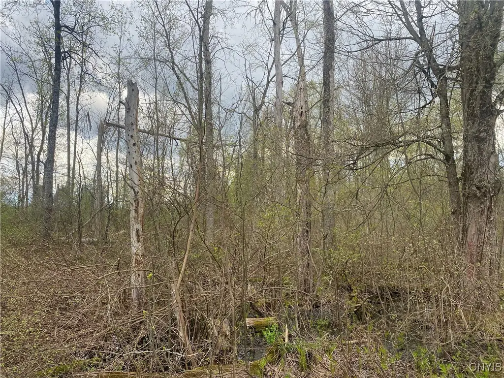 Seifert Road, Rome, NY 13440 - Image #1