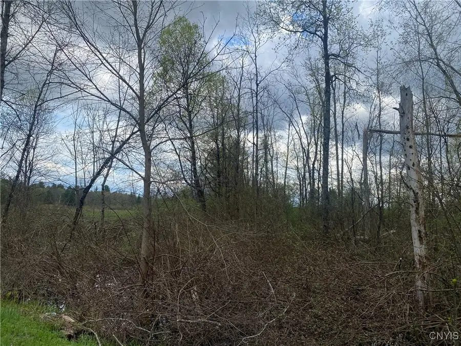 Seifert Road, Rome, NY 13440 - Image #2