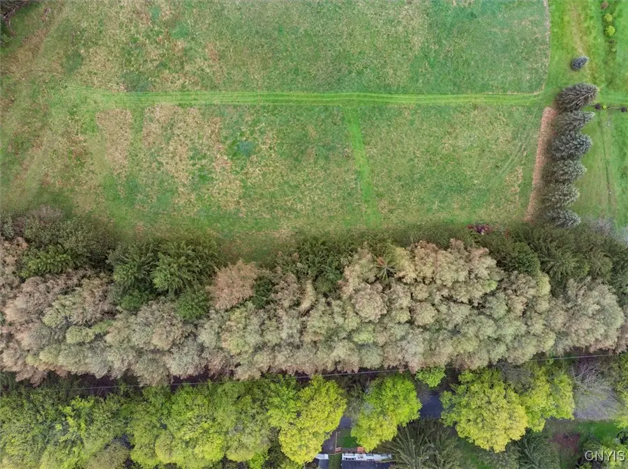 0 Bonney Hill Road, Hamilton, NY 13346 - Image #3