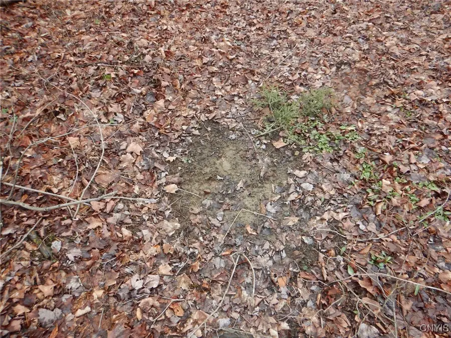 County Road 16, Birdsall, NY 14804 - Image #3