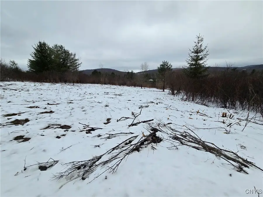 8935 Stout Road, Cuba, NY 14727 - Image #3