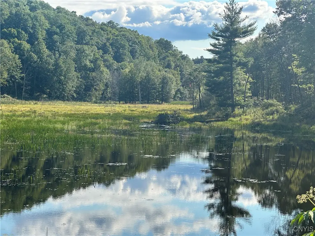 Graham Road, Harrisville, NY 13648 - Image #1