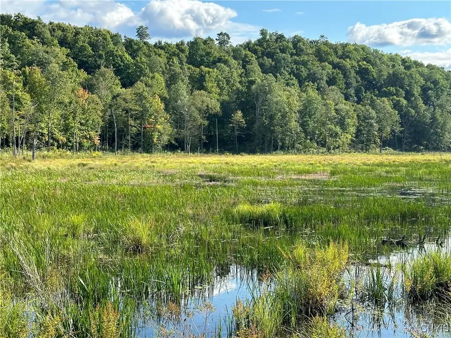 Graham Road, Harrisville, NY 13648 - Image #3