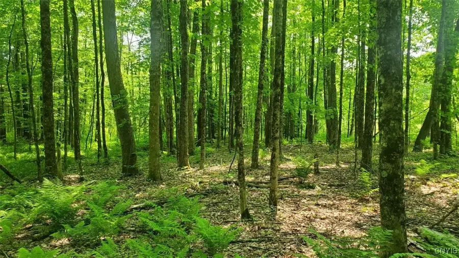 00 Kiwanis Road, Lee, NY 13440 - Image #2