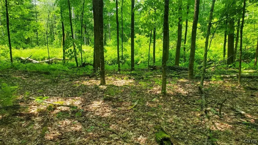 00 Kiwanis Road, Lee, NY 13440 - Image #3