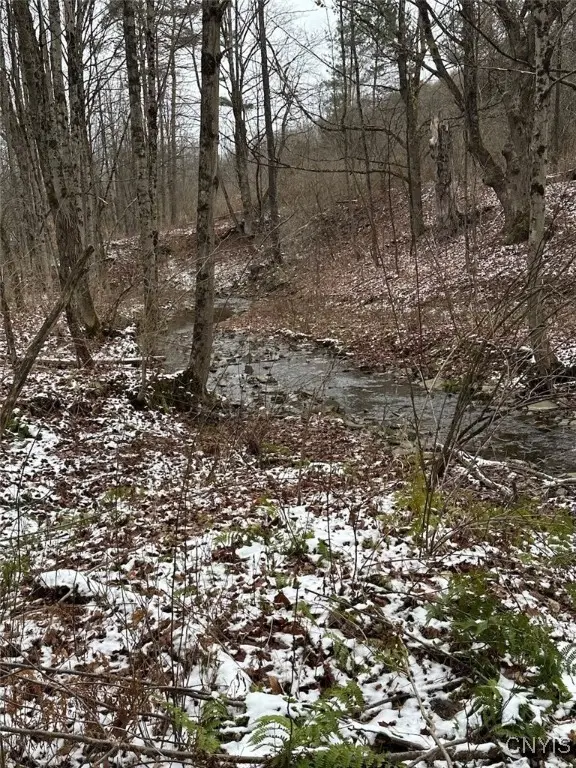 150 Cafferty Road, Endicott, NY 13760 - Image #3