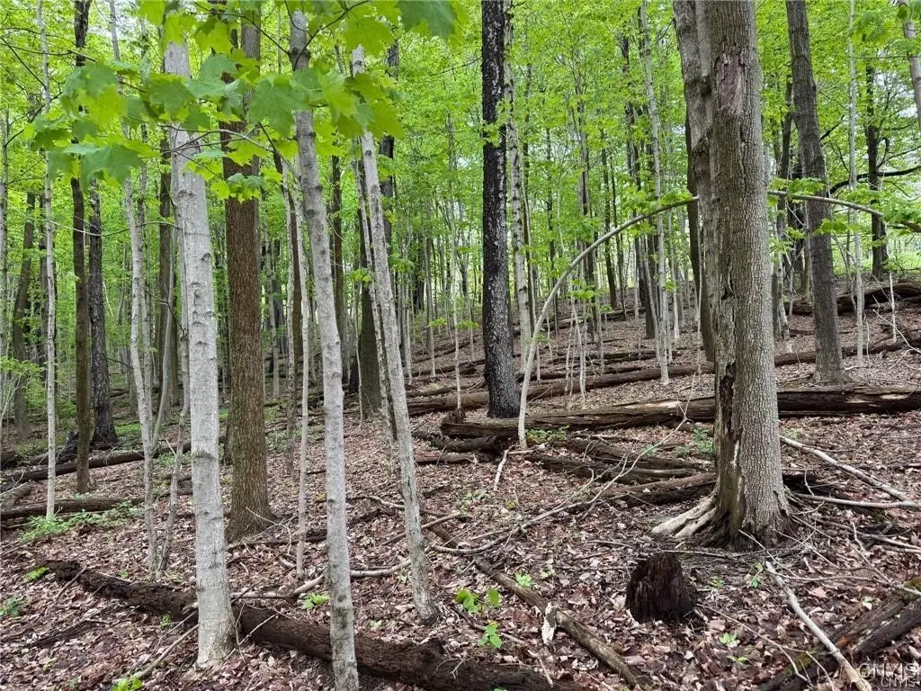 Old State Road, Erieville, NY 13061 - Image #1