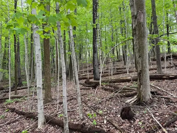 Old State Road, Erieville, NY 13061