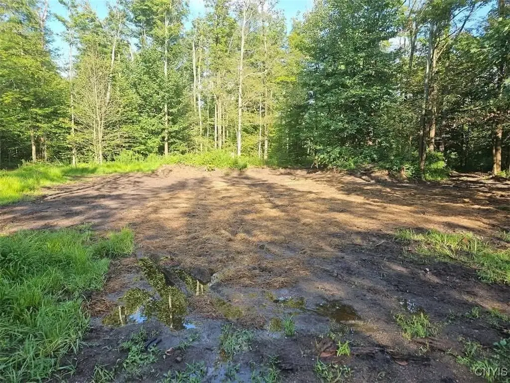 5368 Herrick Road, Gerry, NY 14740 - Image #1