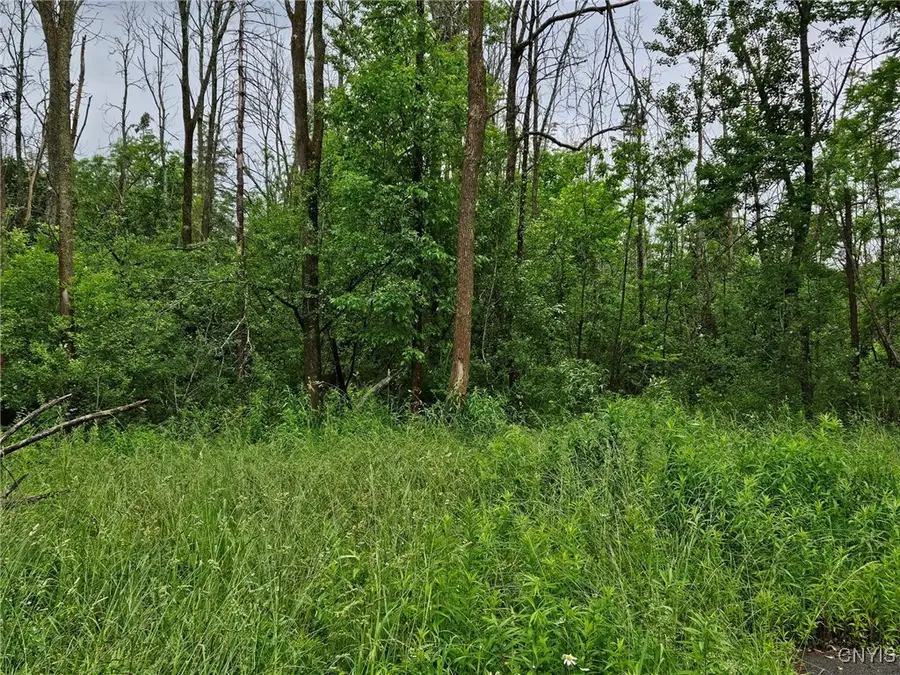 Sims Lane, Cazenovia, NY 13035 - Image #2