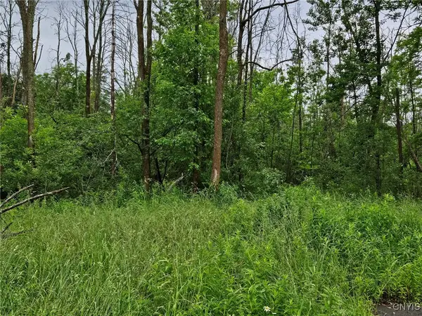 56 Myrtle Street, Cazenovia, NY 13035