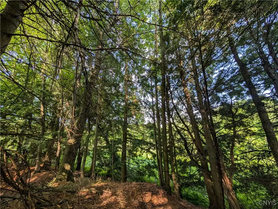 0 Indian River, Theresa, NY 13691 - Image #3