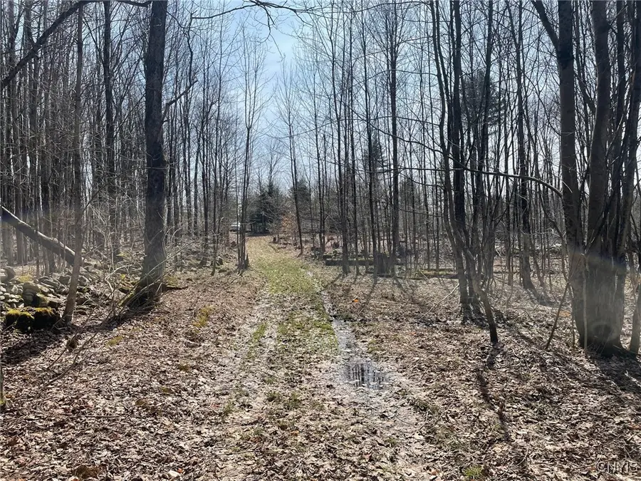 1031 Curtiss Road, Camden, NY 13316 - Image #2