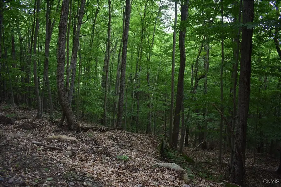 Lot 11 & 13 Mohawk Drive W, Old Forge, NY 13420 - Image #2