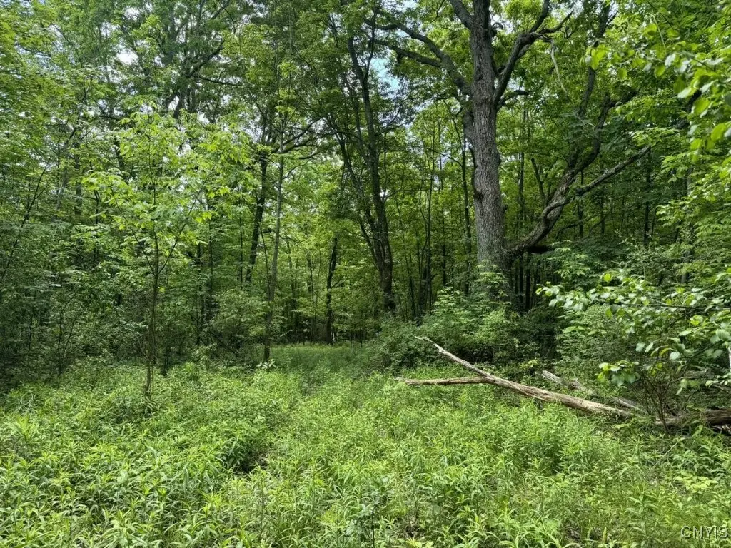 2190 Warren Road, Middlesex, NY 14507 - Image #1