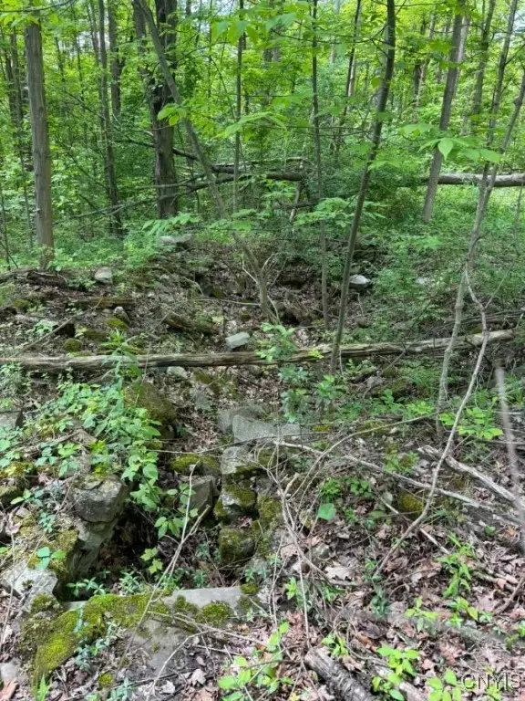 2190 Warren Road, Middlesex, NY 14507 - Image #3