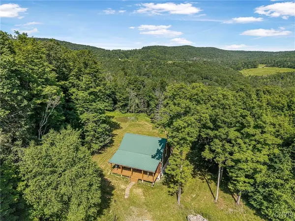 4902 Mcmaster Road, Cameron, NY 14819