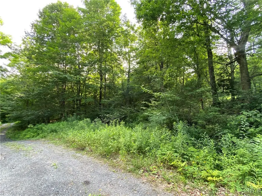0 State Route 28, Thendara, NY 13472 - Image #2