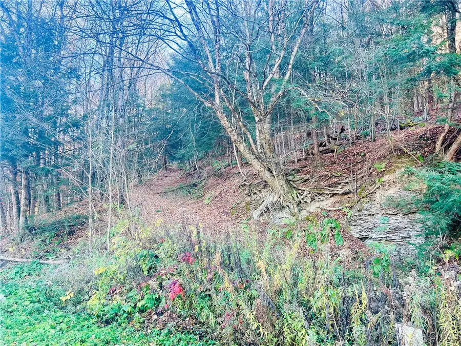 0 W Cheningo Road Road, Truxton, NY 13158 - Image #3