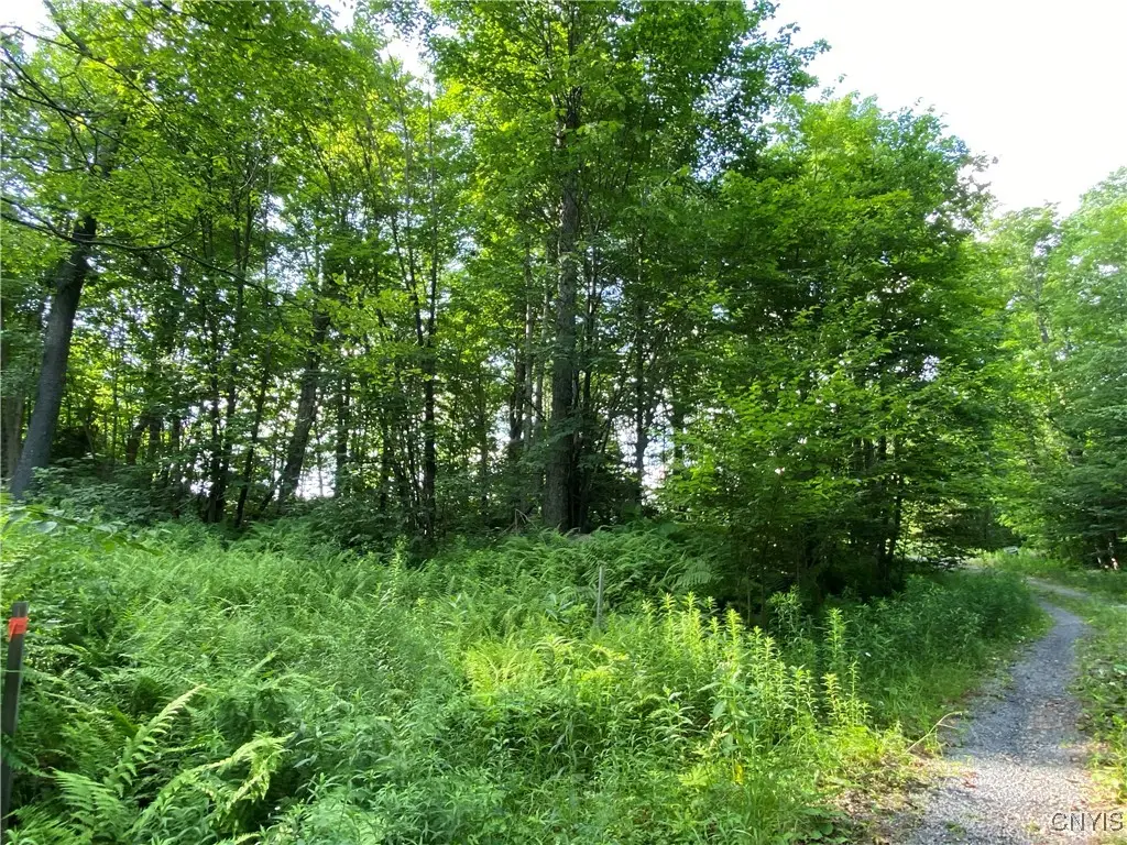 1517 State Route 28, Thendara, NY 13472 - Image #1