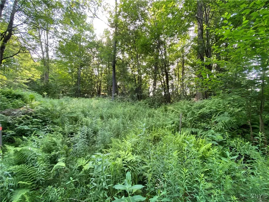 1517 State Route 28, Thendara, NY 13472 - Image #3