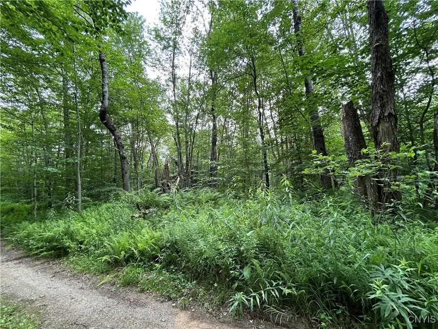 42 Kimball Camp Road, Richland, NY 13144 - Image #2