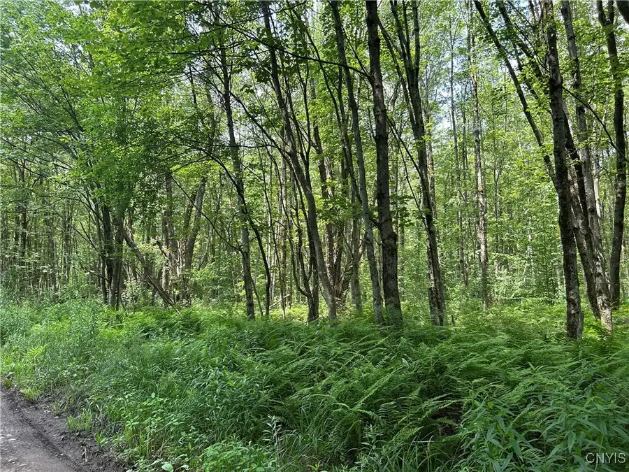 42 Kimball Camp Road, Richland, NY 13144 - Image #3