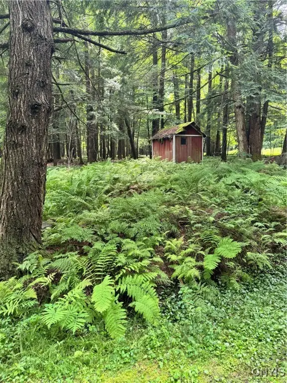 11224 Countryman Road, Remsen, NY 13438 - Image #2