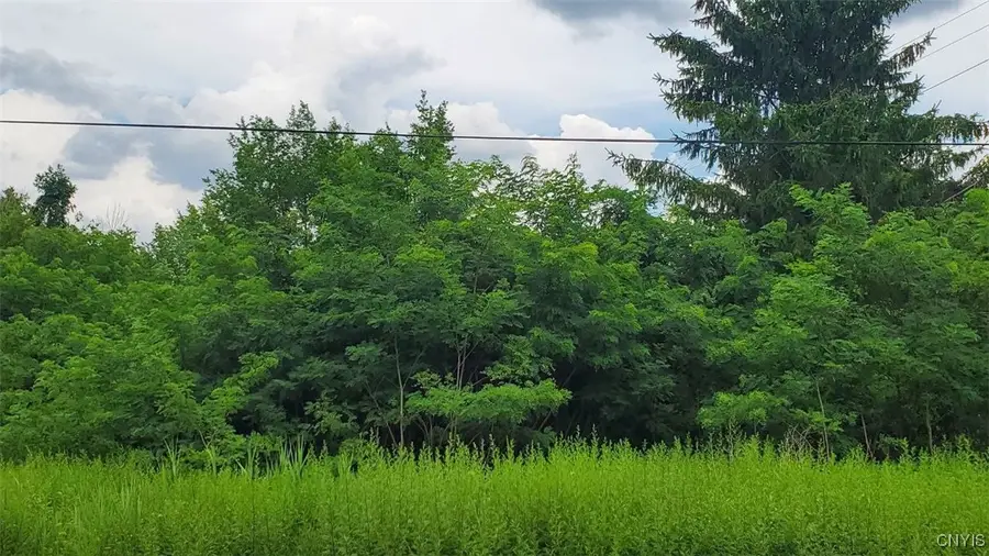 00 Herman Road, Camillus, NY 13031 - Image #3