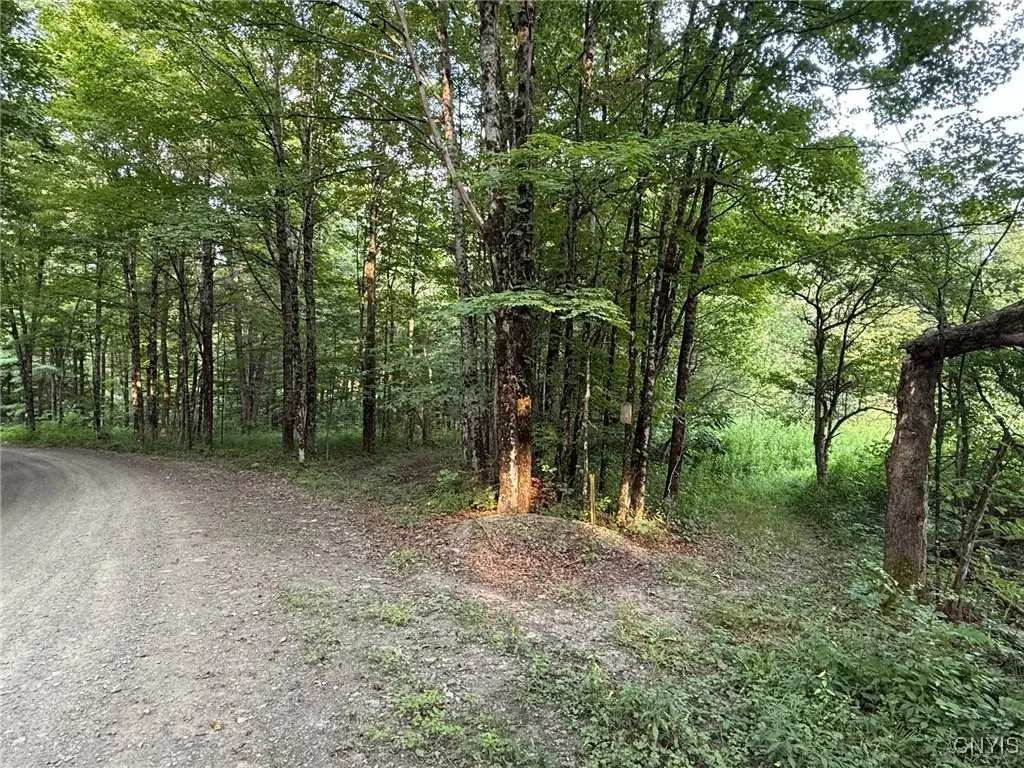 Dutch Hill Road, Cincinnatus, NY 13040 - Image #1