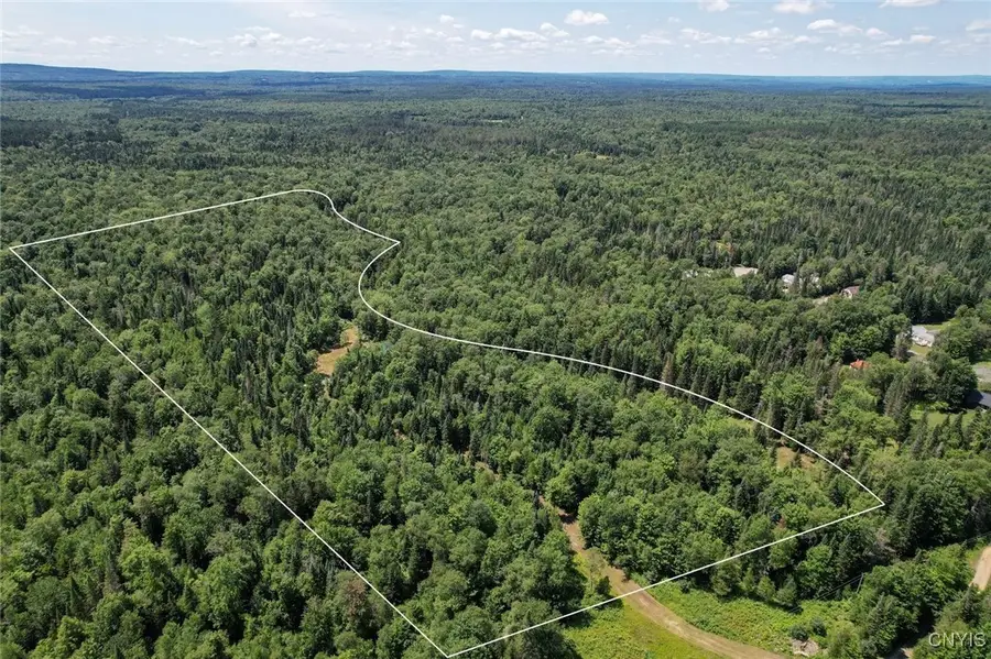 9161 Christmas Tree Lane Road, Forestport, NY 13338 - Image #2