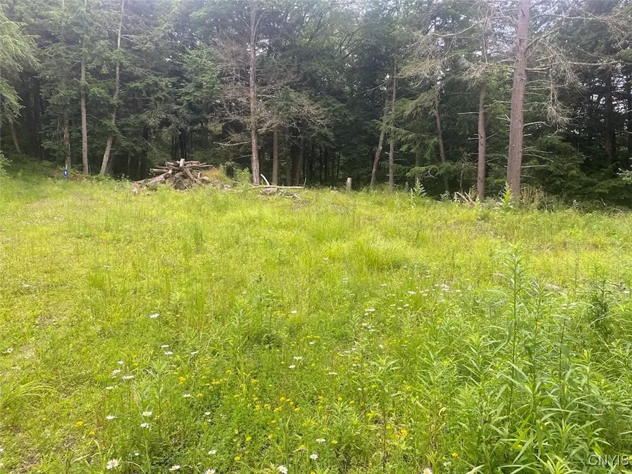 Fulmer Valley Road, Wellsville, NY 14895 - Image #2