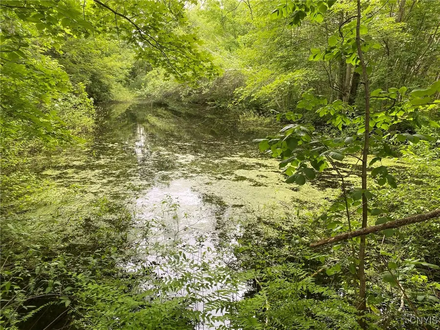 2836 Us Route 11, Parish, NY 13131 - Image #3