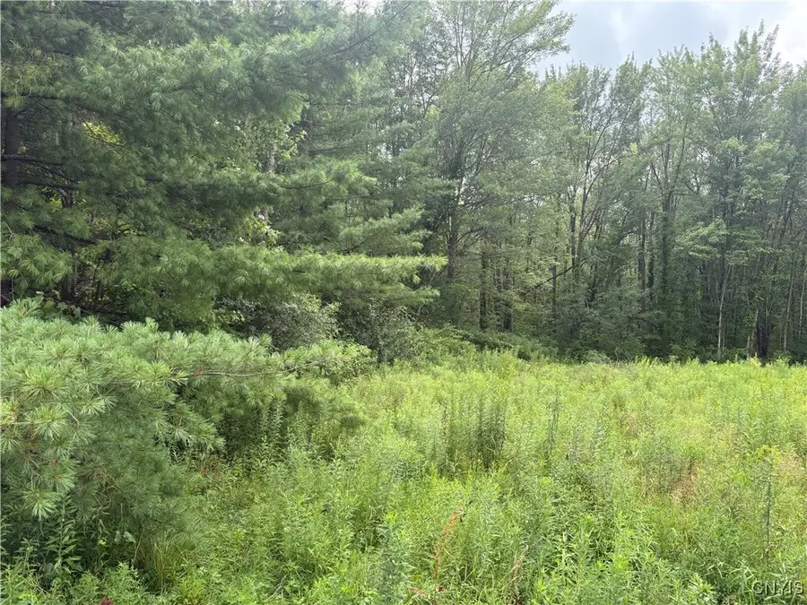 447 County Route 6, Phoenix, NY 13135 - Image #3