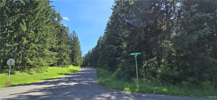 7040 Whitney Farm Lane, Jamesville, NY 13078 - Image #3