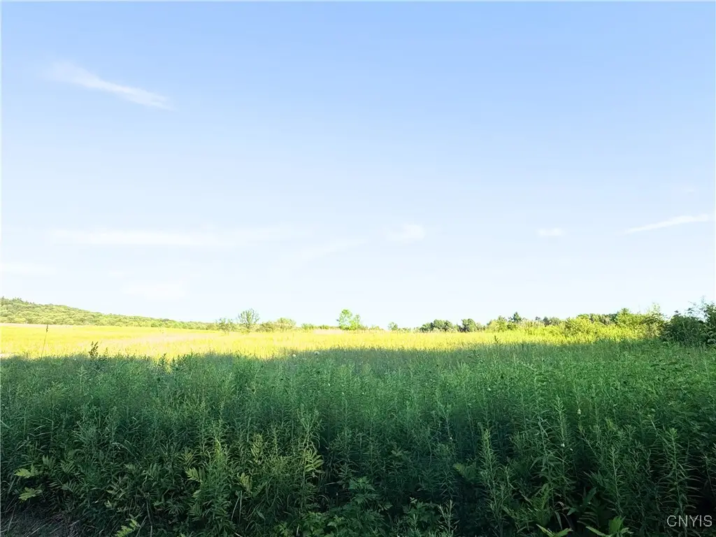 Tassell Hill Road S, Marshall, NY 13328 - Image #1