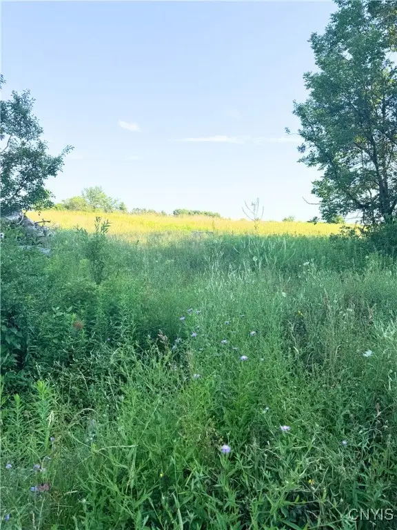 Tassell Hill Road S, Marshall, NY 13328 - Image #3