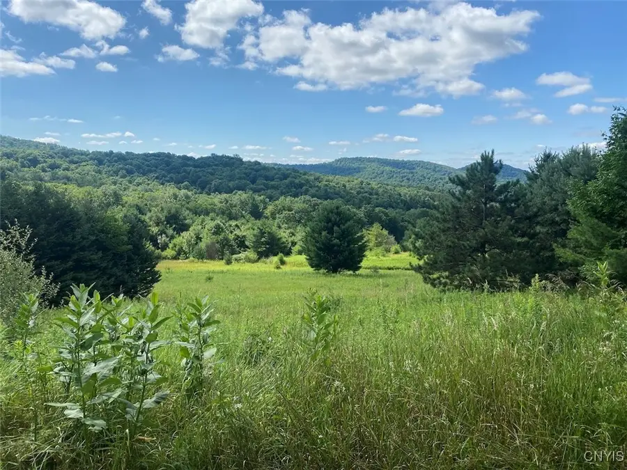 Horse Run Road, Little Genesee, NY 14754 - Image #2