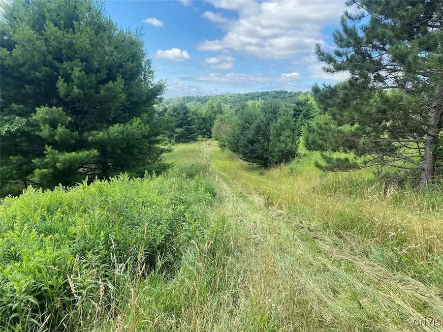 Horse Run Road, Little Genesee, NY 14754 - Image #3