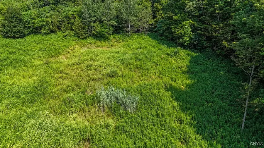 Clinton Avenue, Groton, NY 13073 - Image #2