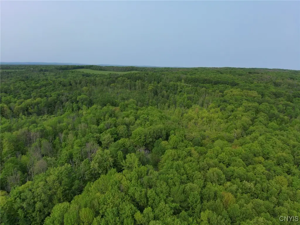 0 Lynch Road, Newport, NY 13416 - #1