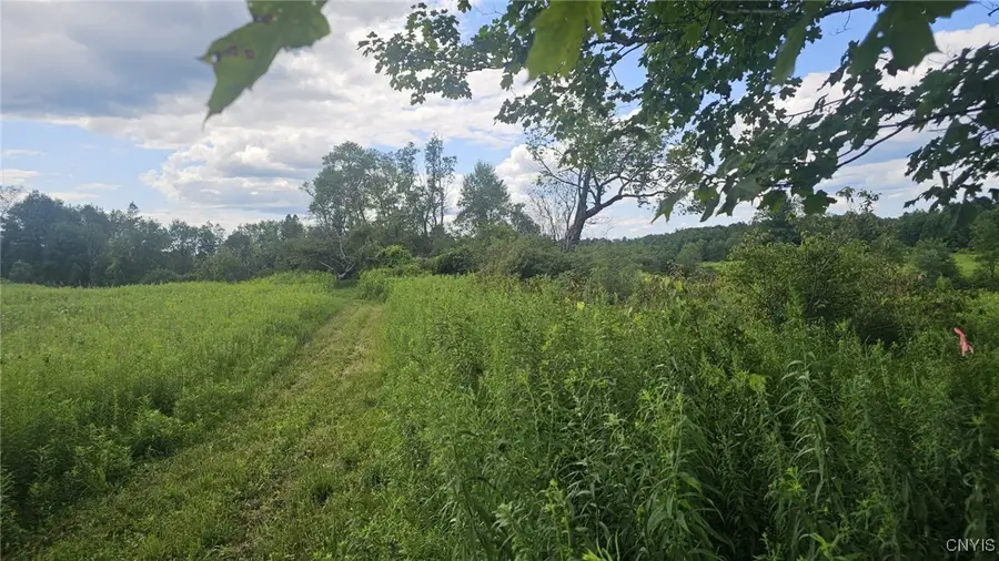 8083 Link Road, Rome, NY 13440 - Image #3