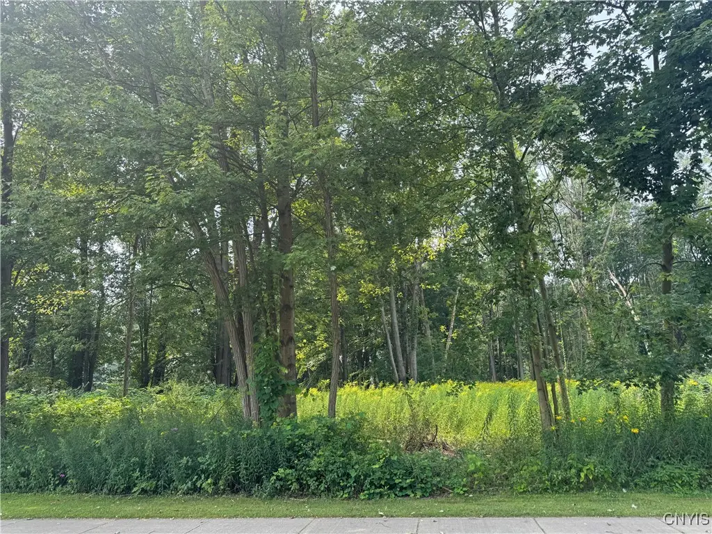 Mcclanathan Avenue, Blossvale, NY 13308 - Image #1