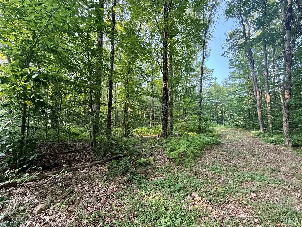 11470 River Road, Camden, NY 13316 - Image #1