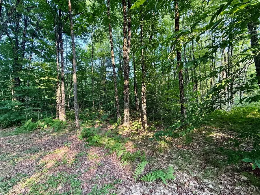 11470 River Road, Camden, NY 13316 - Image #3