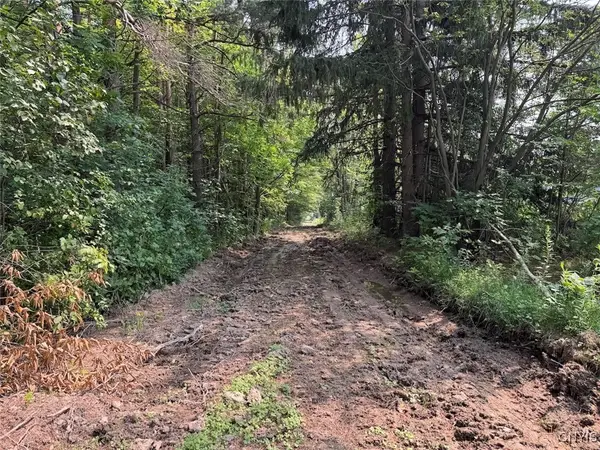 Allen Road, East Concord, NY 14055